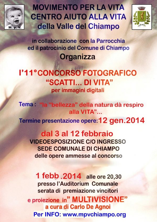 L’artista Domenico Scolaro a Call’Art 2014